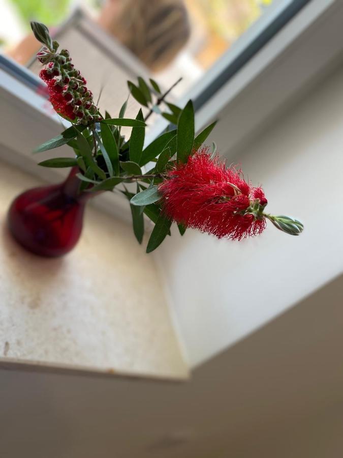 Napjacu With Own Parking And Garden Apartment Herceg Novi Ngoại thất bức ảnh